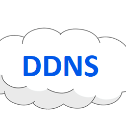 Dynamic DNS (DDNS) Subscription Renewal (1 Year)